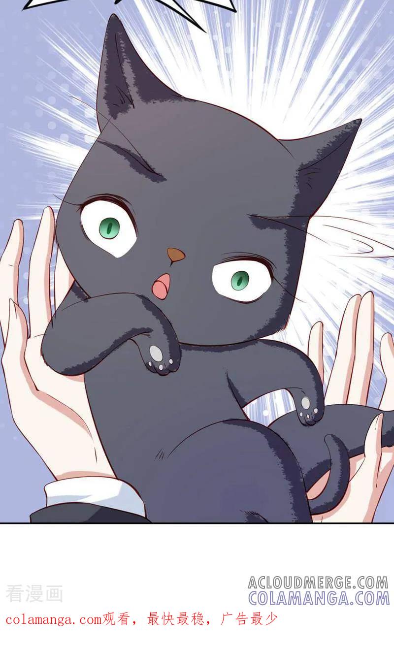 第64话-以猫的名义爱上你-咪咕数媒（第13张）
