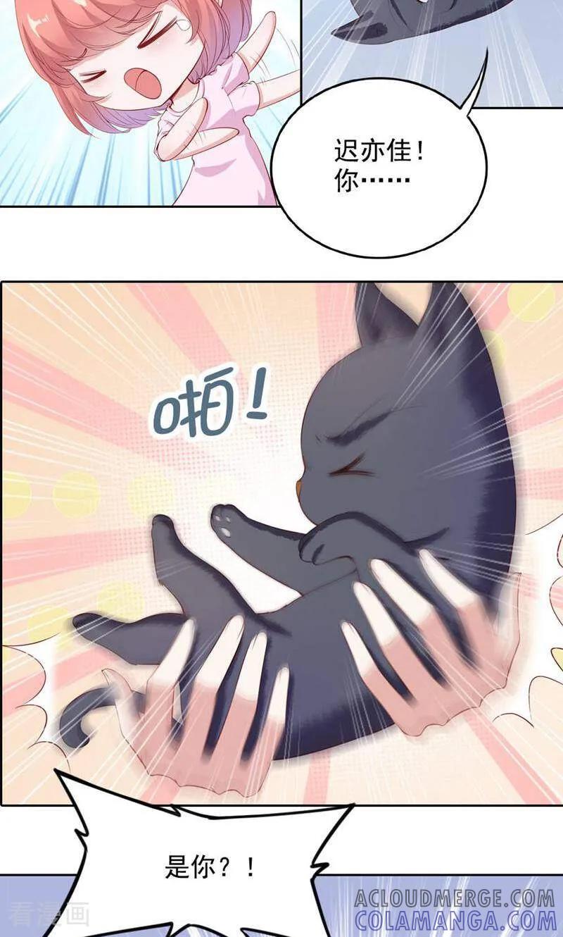 第64话-以猫的名义爱上你-咪咕数媒（第12张）