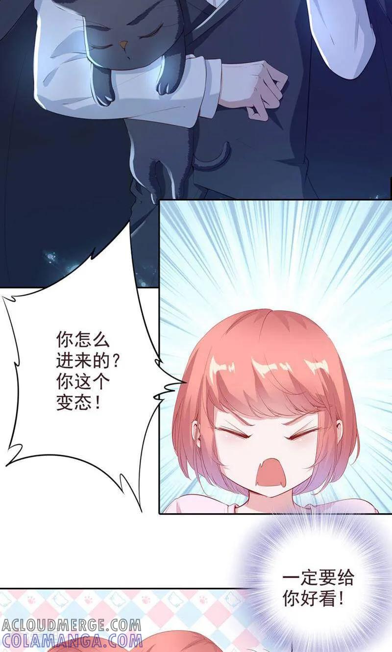第65话-以猫的名义爱上你-咪咕数媒（第2张）