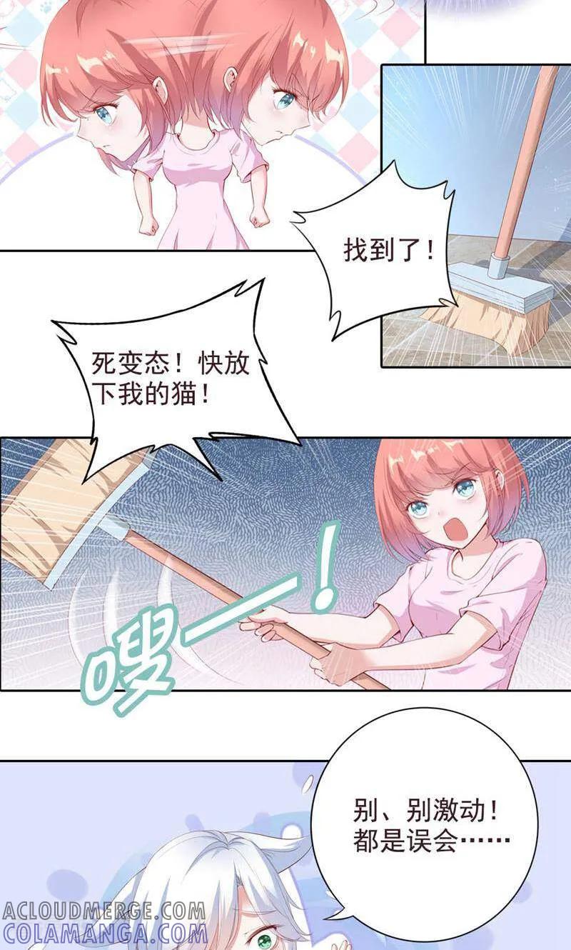 第65话-以猫的名义爱上你-咪咕数媒（第3张）