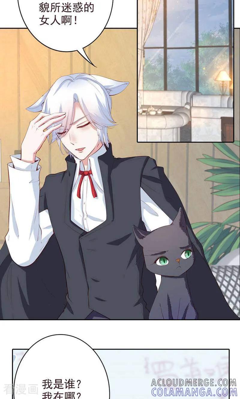 第65话-以猫的名义爱上你-咪咕数媒（第8张）