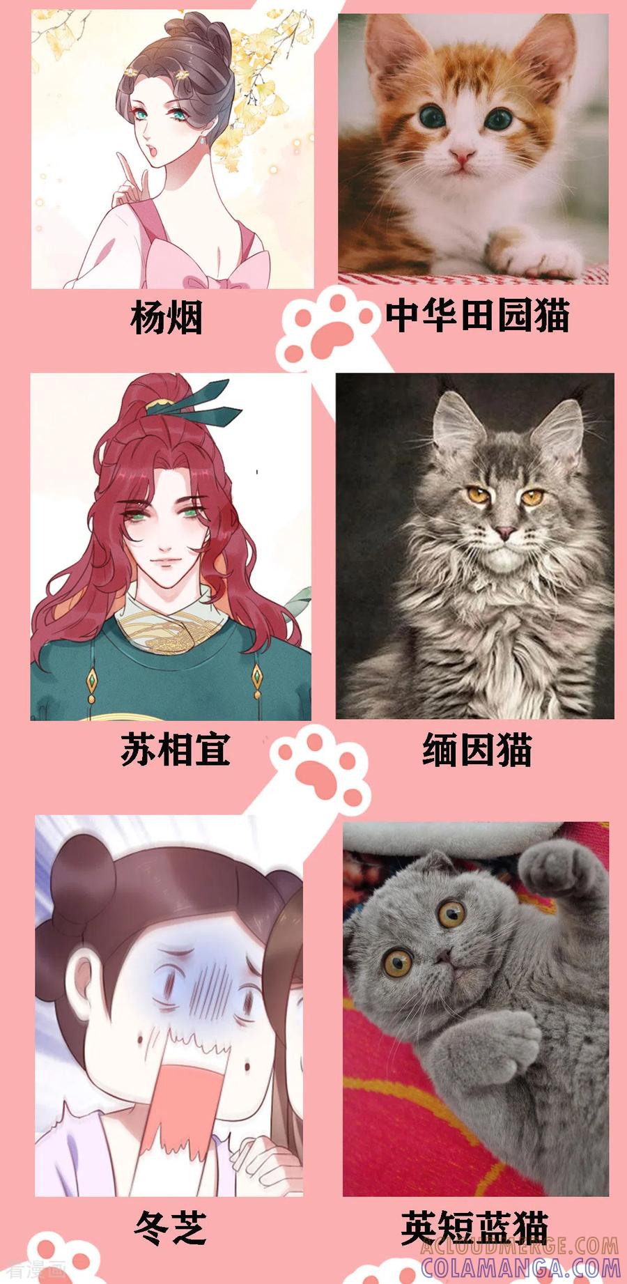 停更公告喵喵喵！-一笑动君心-阿柯文化（第2张）