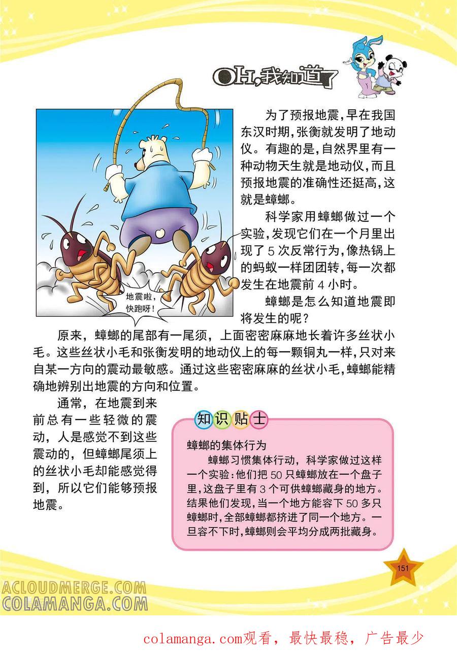 第36话-虹猫蓝兔十万个为什么-虹猫蓝兔（第4张）