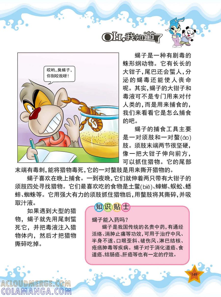 第36话-虹猫蓝兔十万个为什么-虹猫蓝兔（第2张）