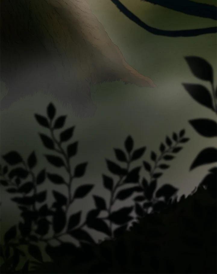 78.jpg