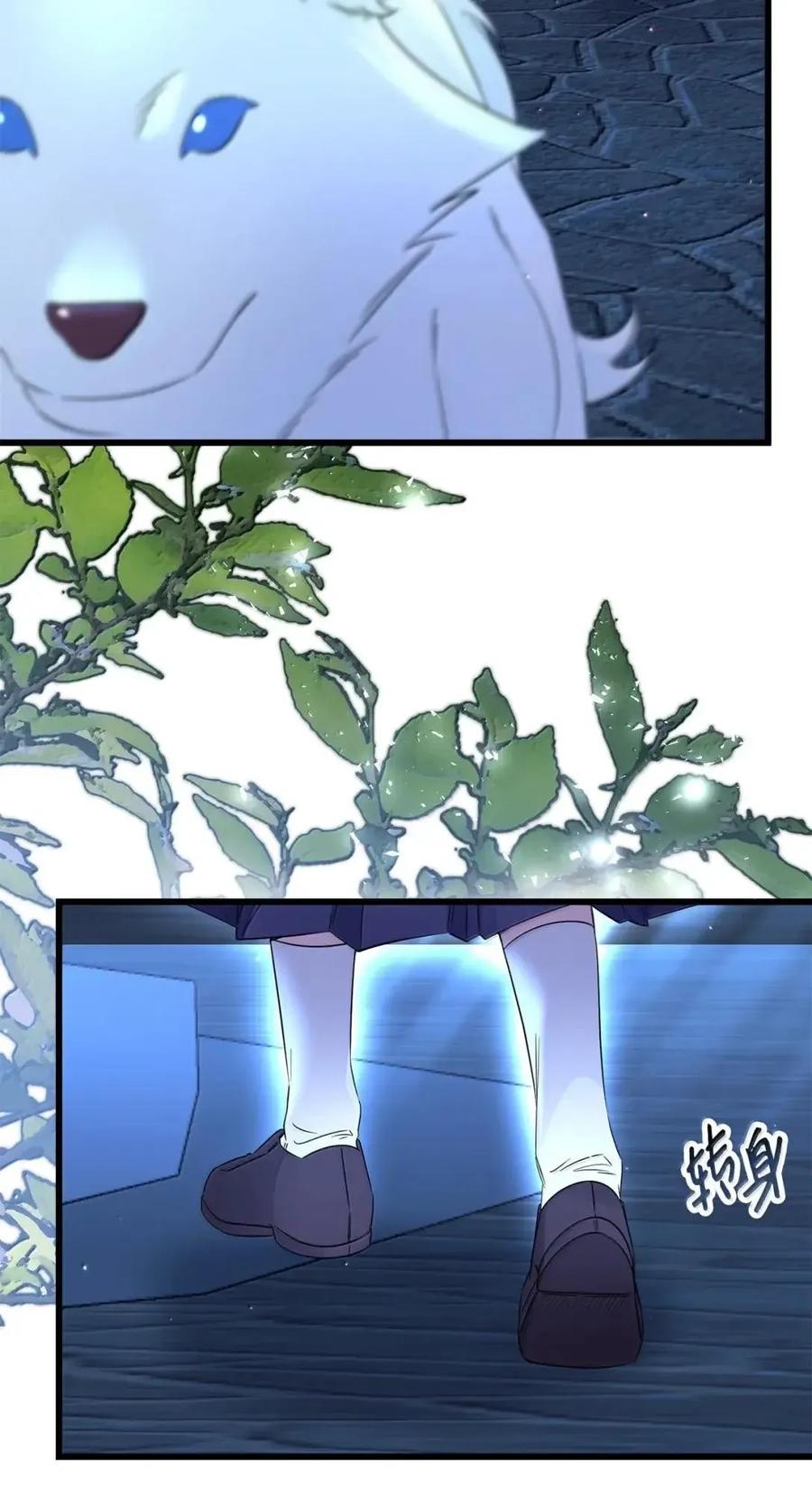 91.jpg
