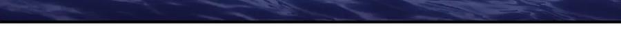 219.jpg