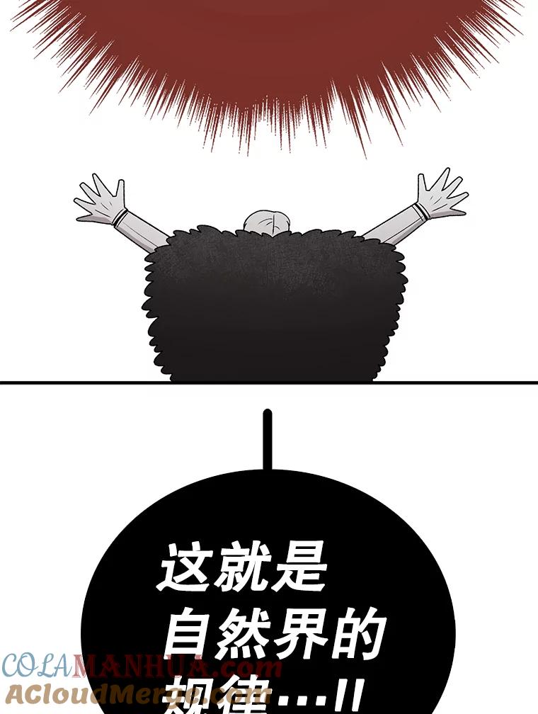 133.jpg