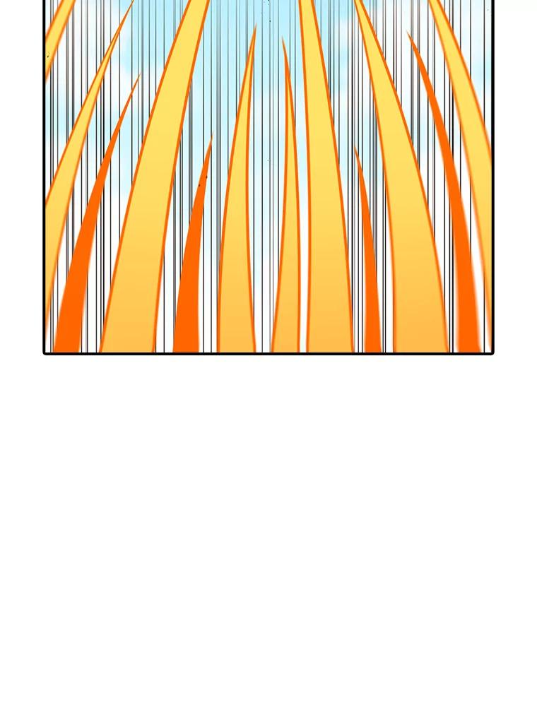 72.jpg