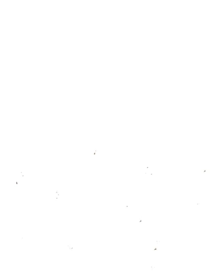 175.jpg