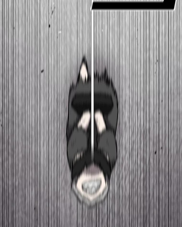 147.jpg