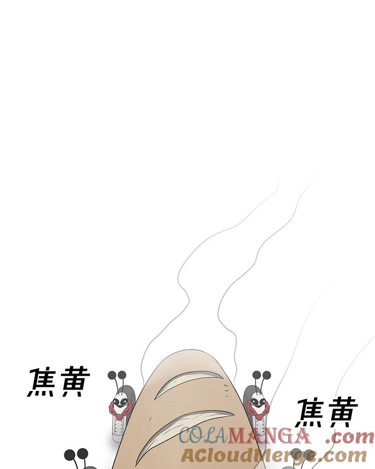 117.jpg