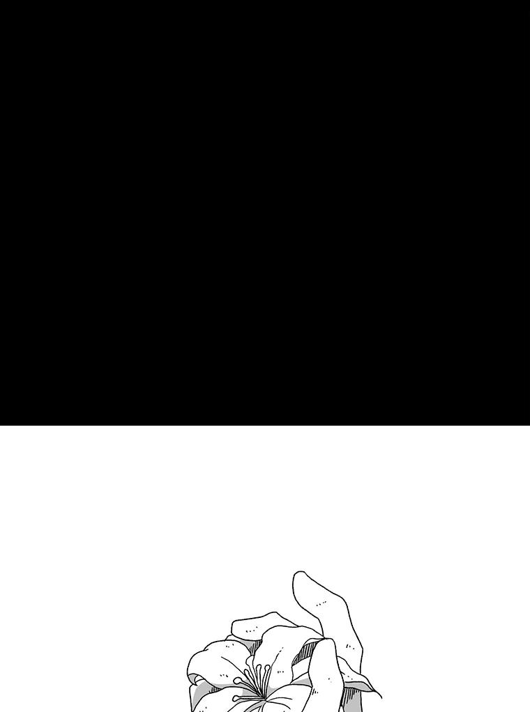 63.jpg
