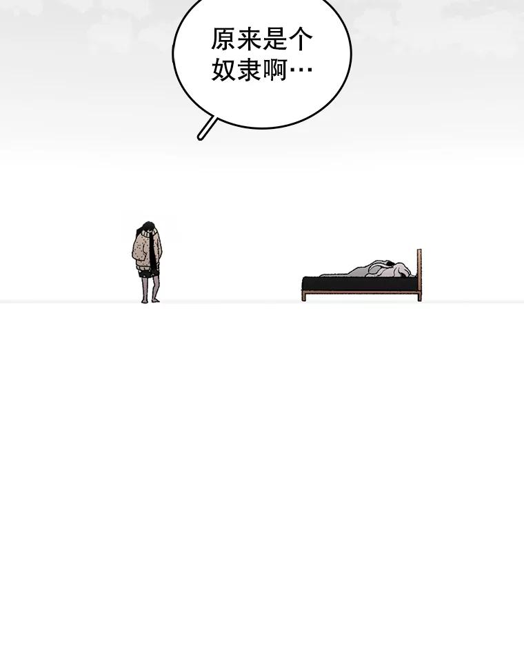 164.jpg