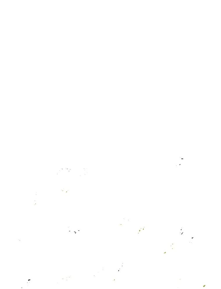 64.jpg