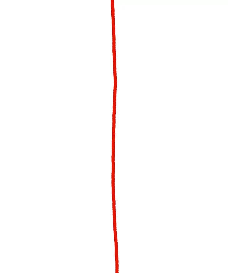 88.jpg