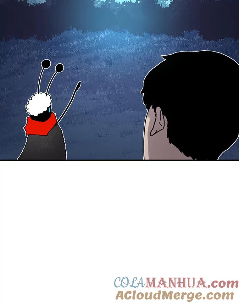 141.jpg