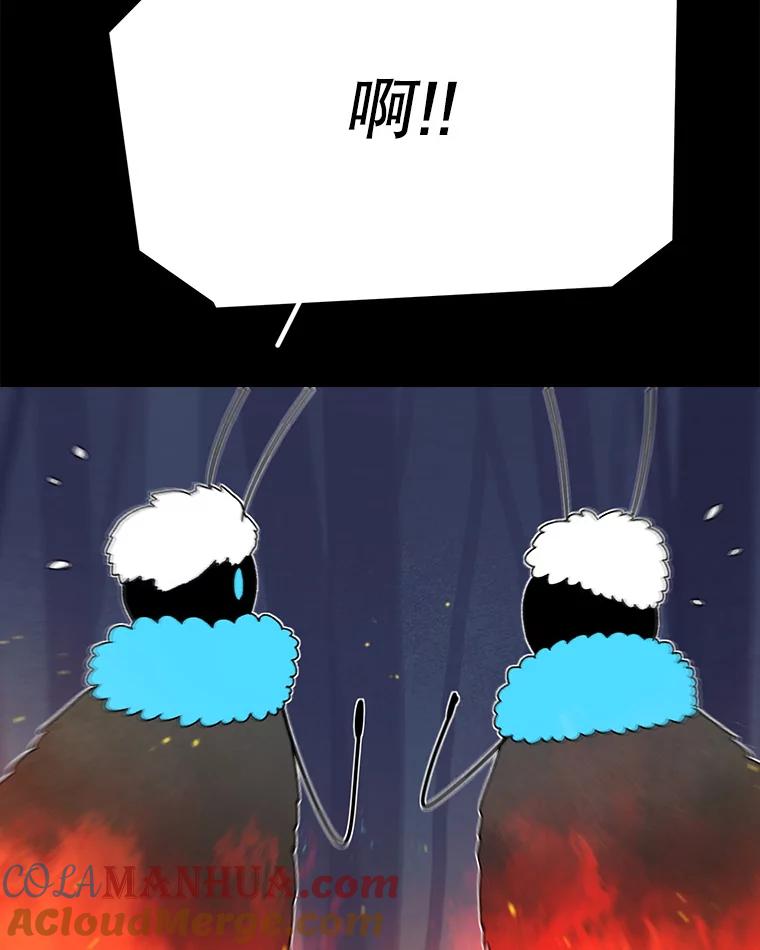 133.jpg