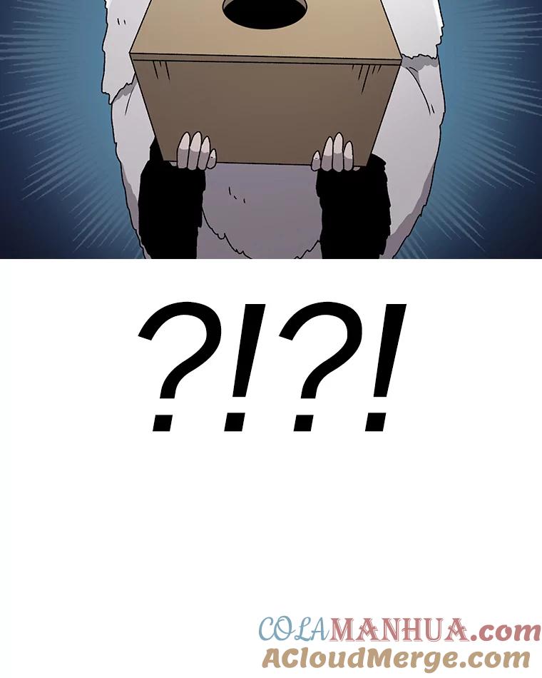 113.jpg