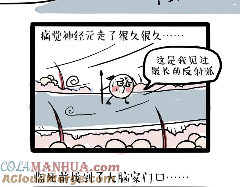 24.jpg