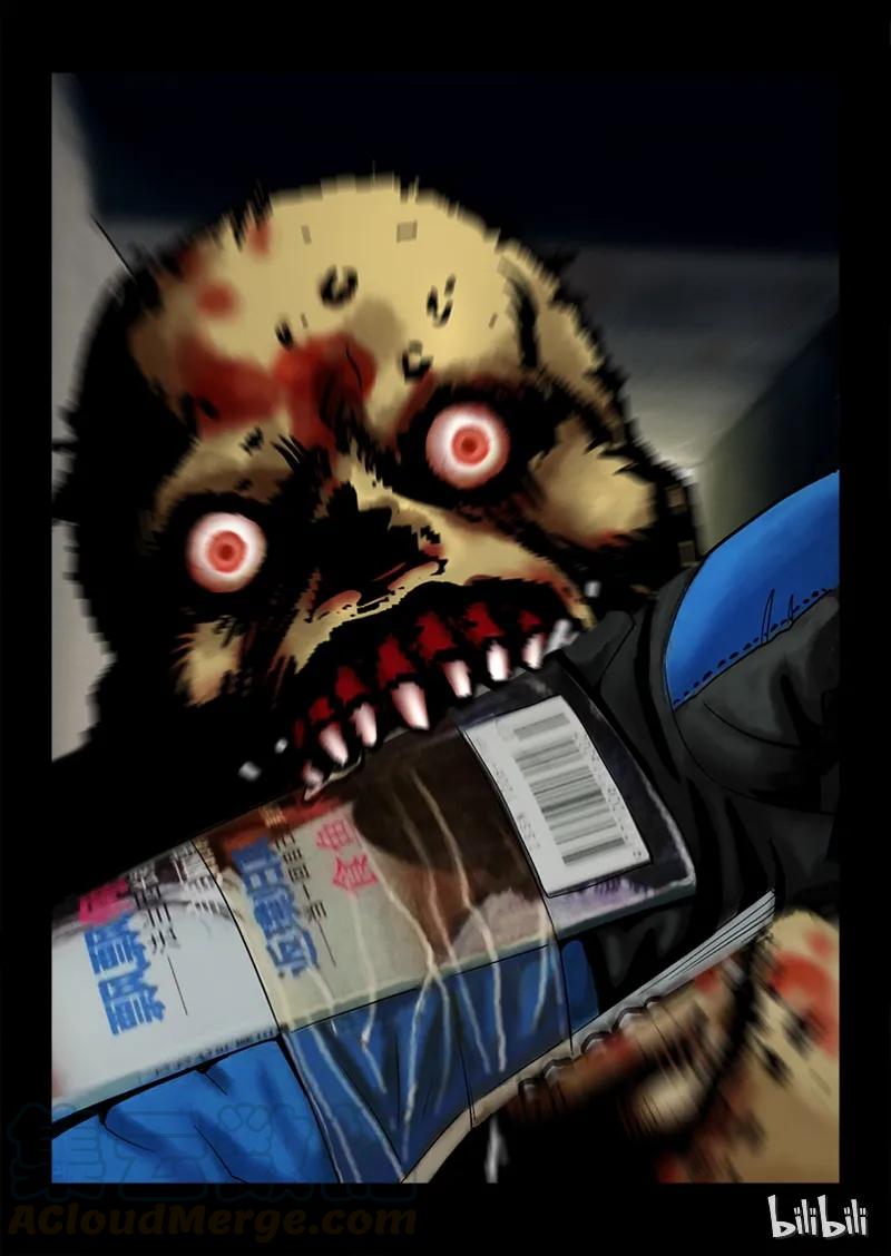 13.jpg