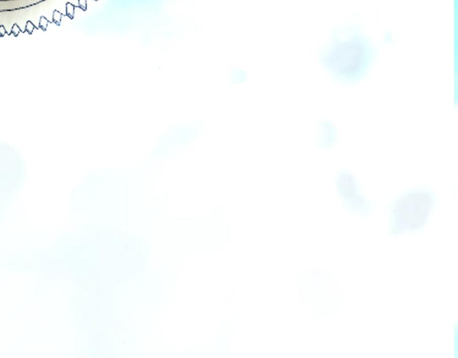172.jpg