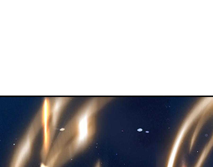 100.jpg