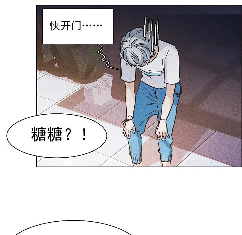 第33话2繁宝向前飞，繁花永相随-世界第一巨星-飒飒动漫（第14张）