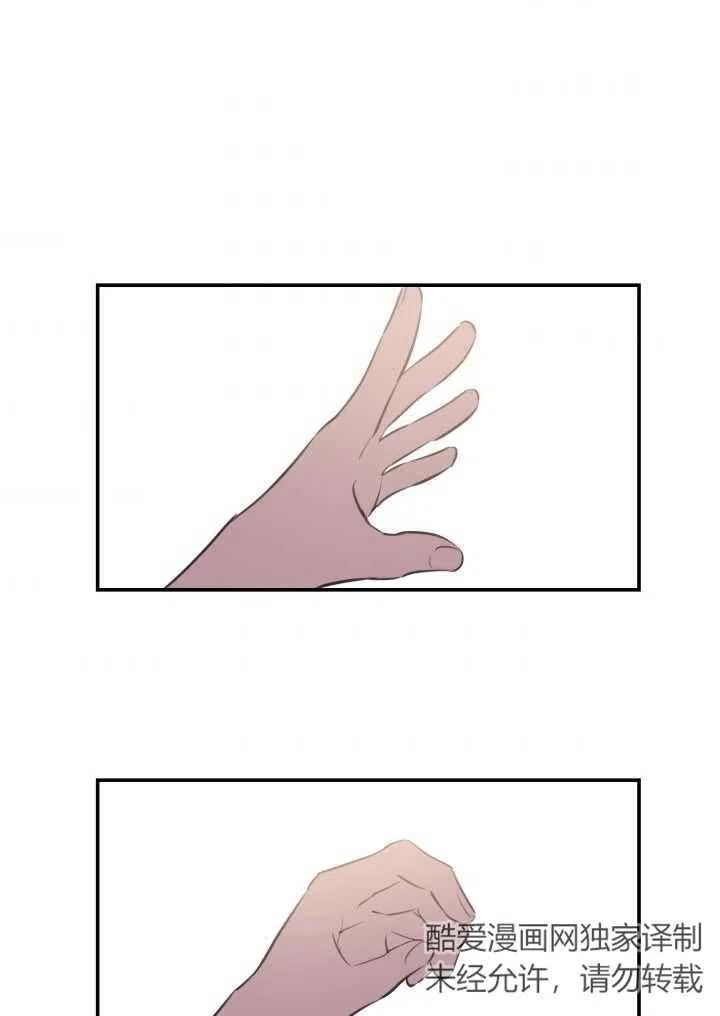 50.jpg
