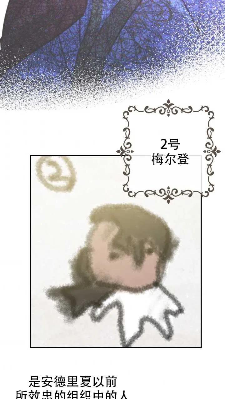 48.jpg