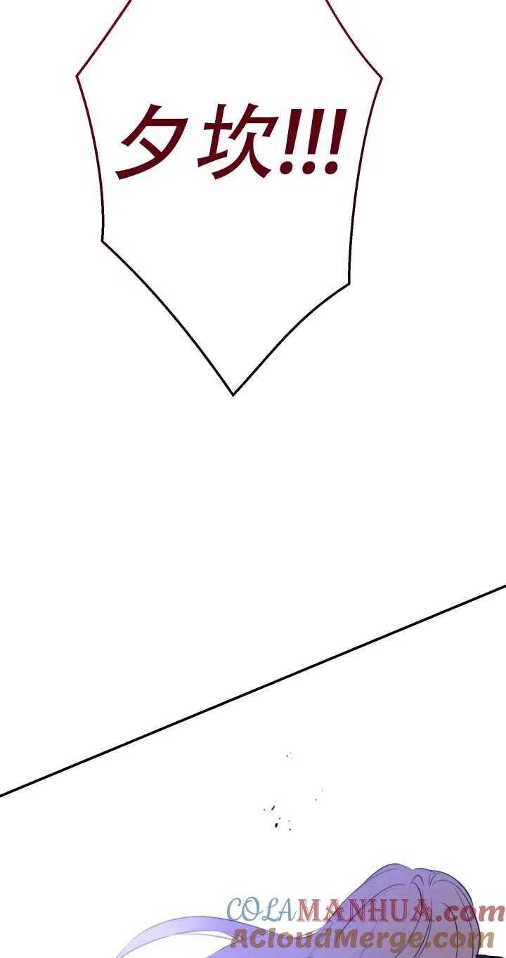 81.jpg