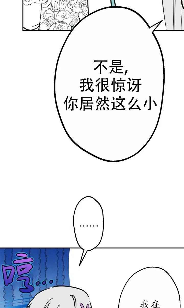48.jpg