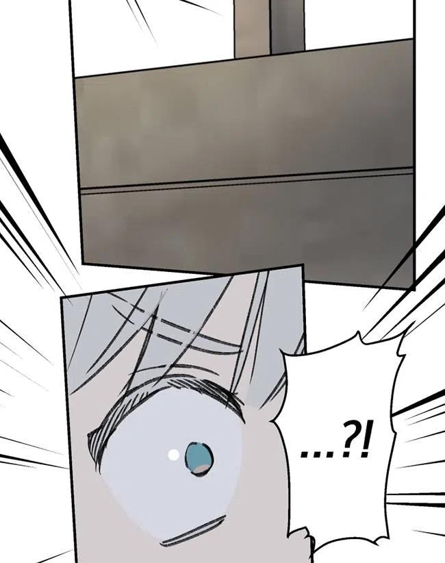 62.jpg