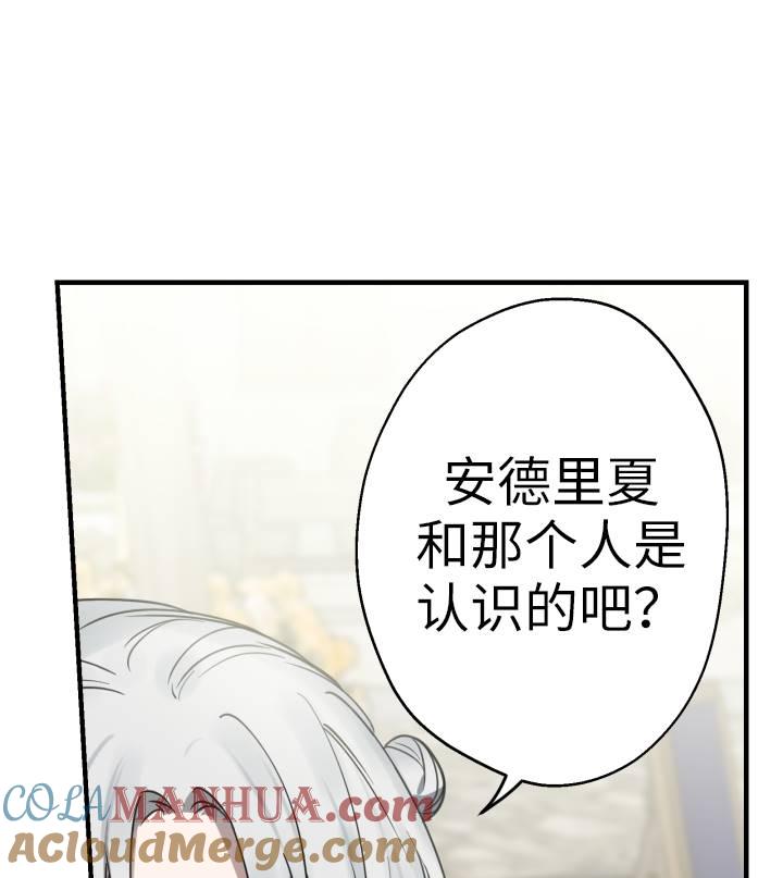 81.jpg