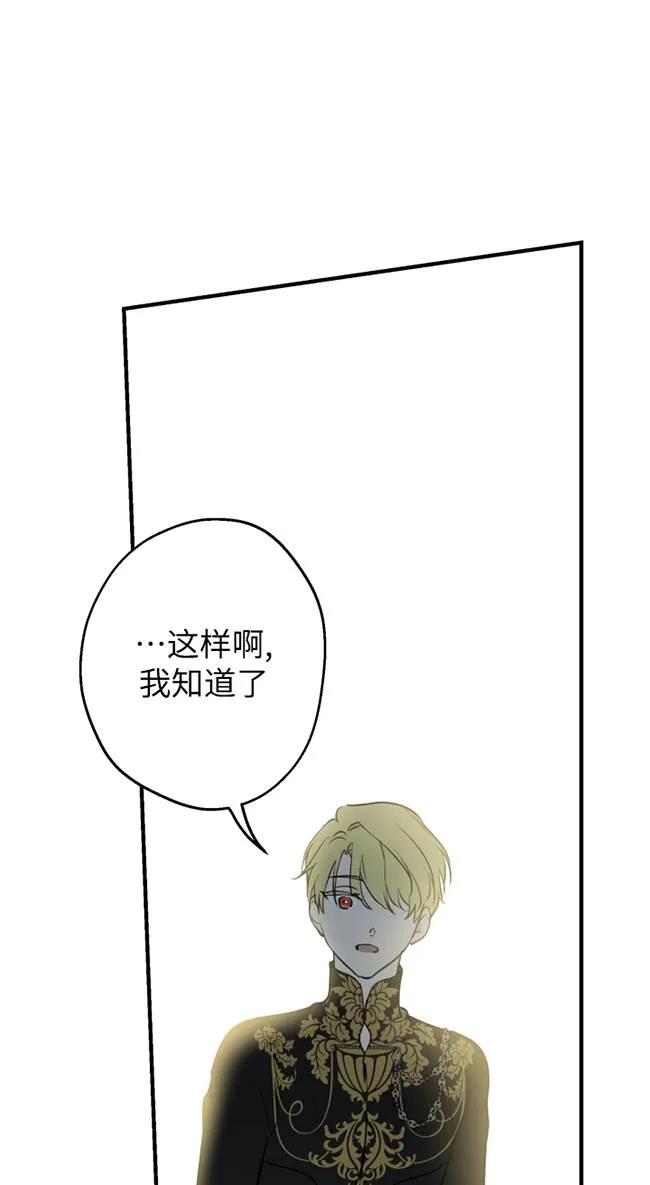 62.jpg