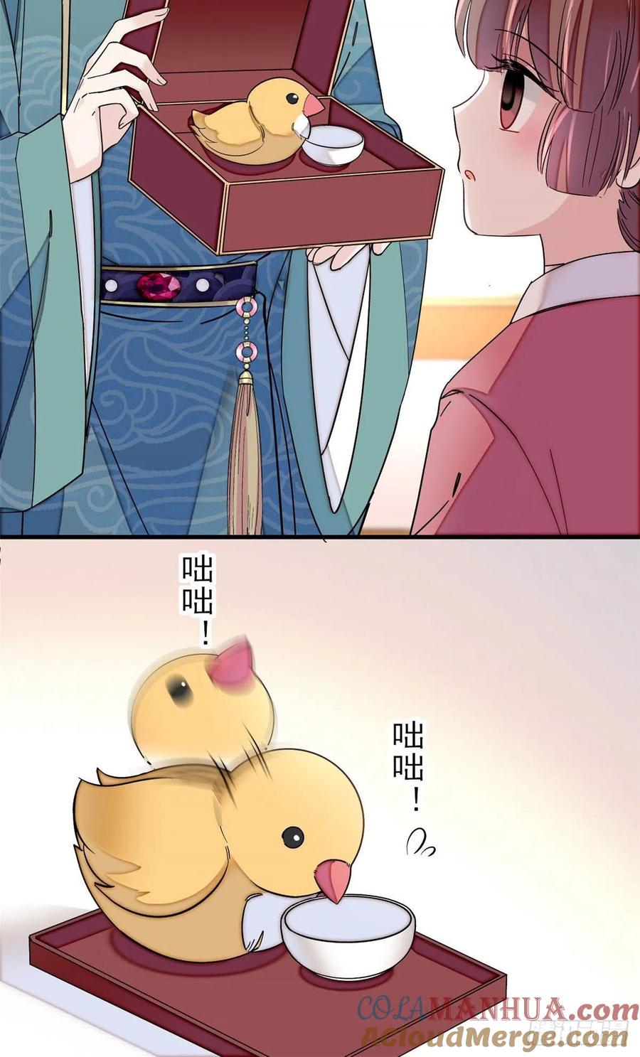 19.jpg