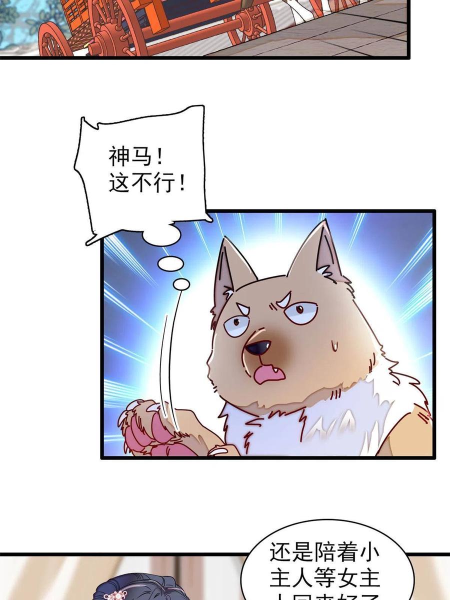 29.jpg