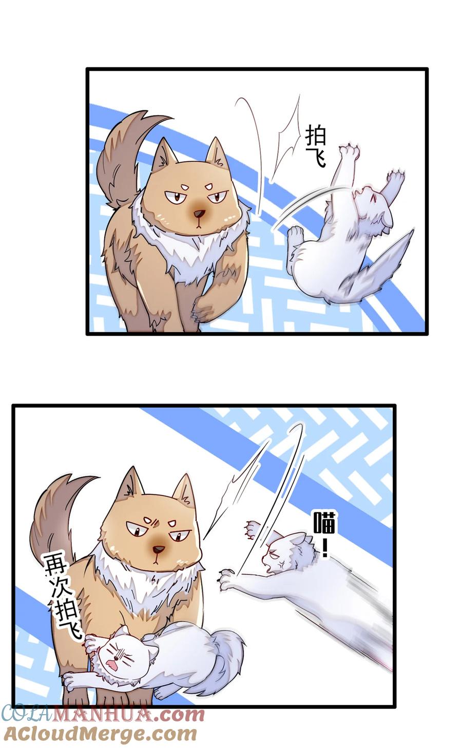 23.jpg