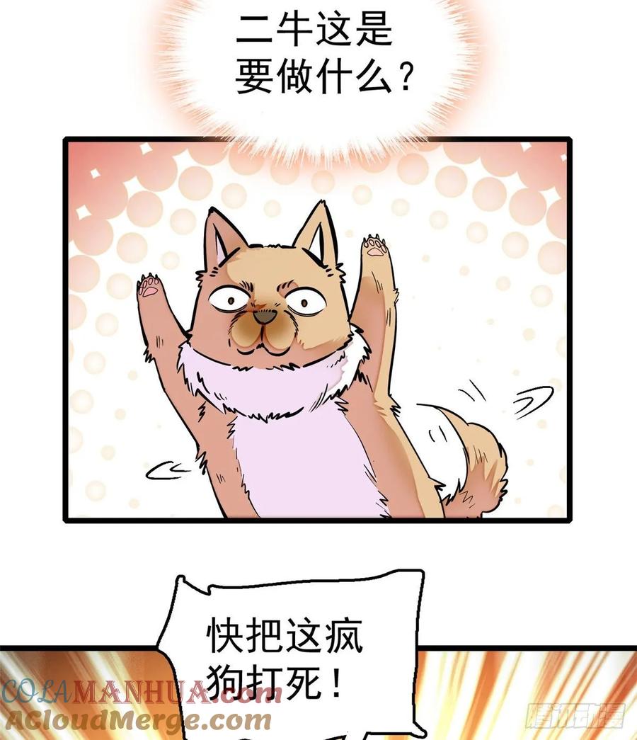 28.jpg