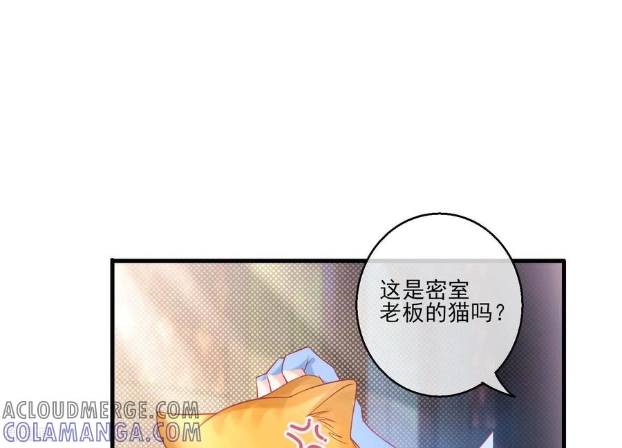 第28话惹急了我今晚就睡作者-我是漫画女主角-爱奇艺漫画（第13张）