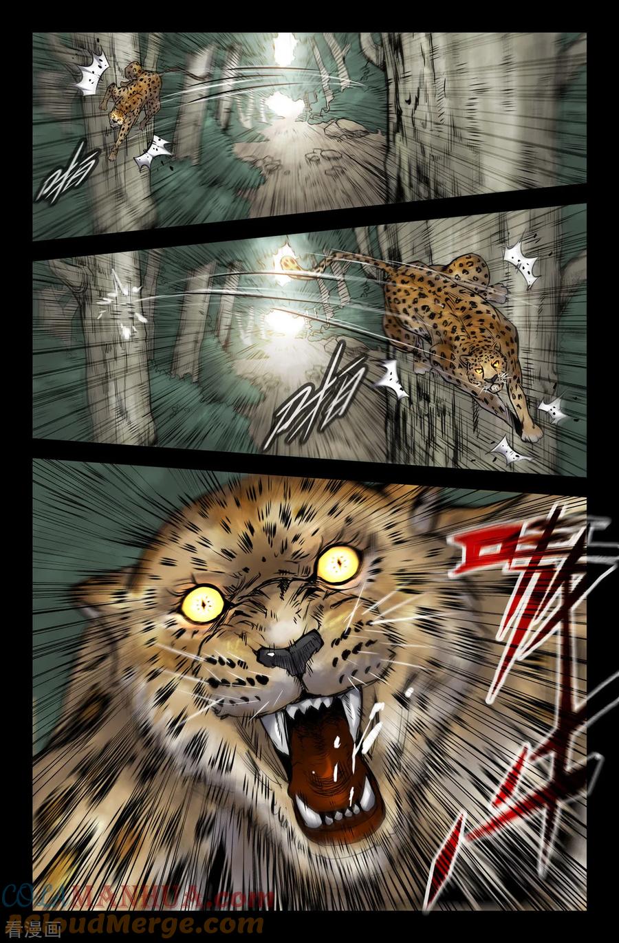 12.jpg