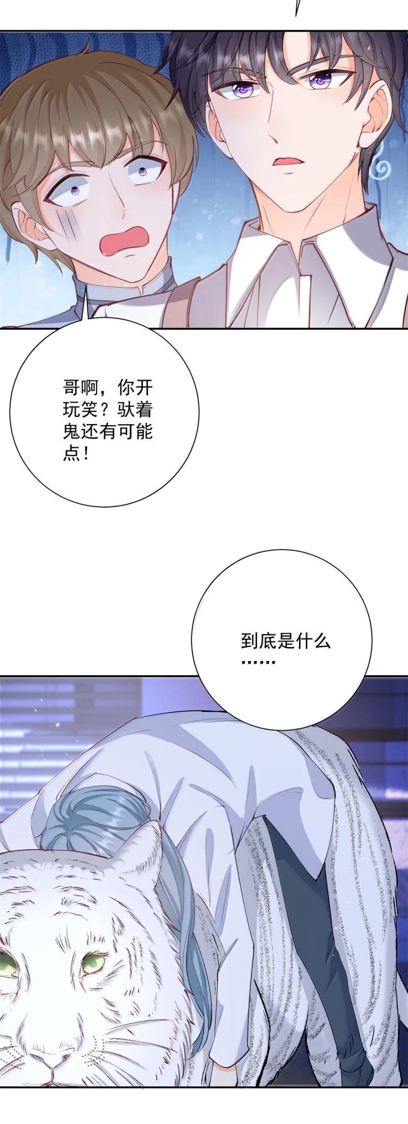 第395话白虎-许你万丈光芒好-大行道动漫（第3张）