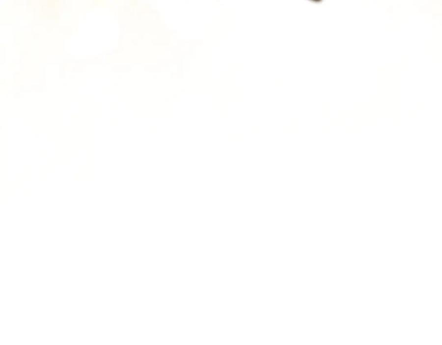 144.jpg