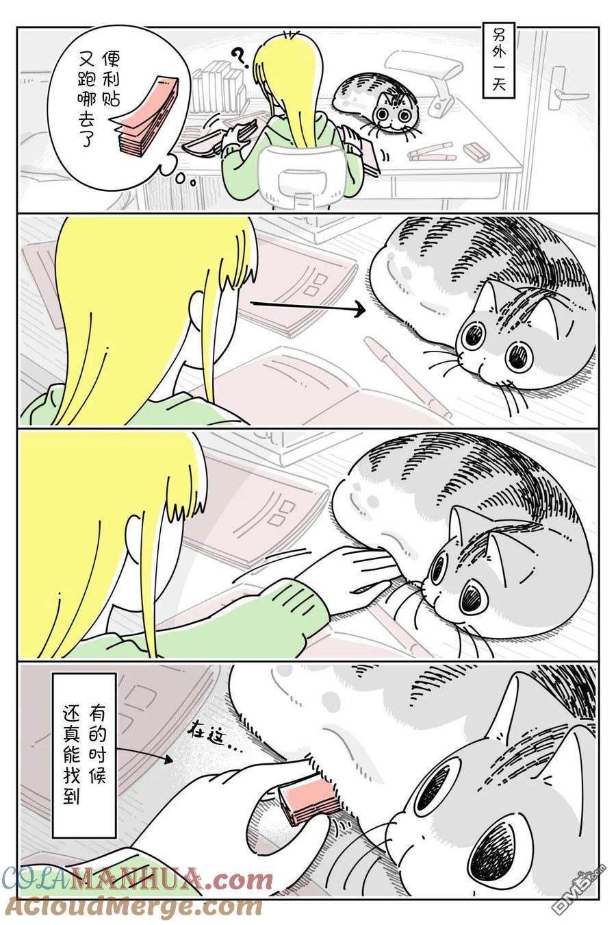 第154话-关于养猫我一直是新手-キュルZ（第2张）