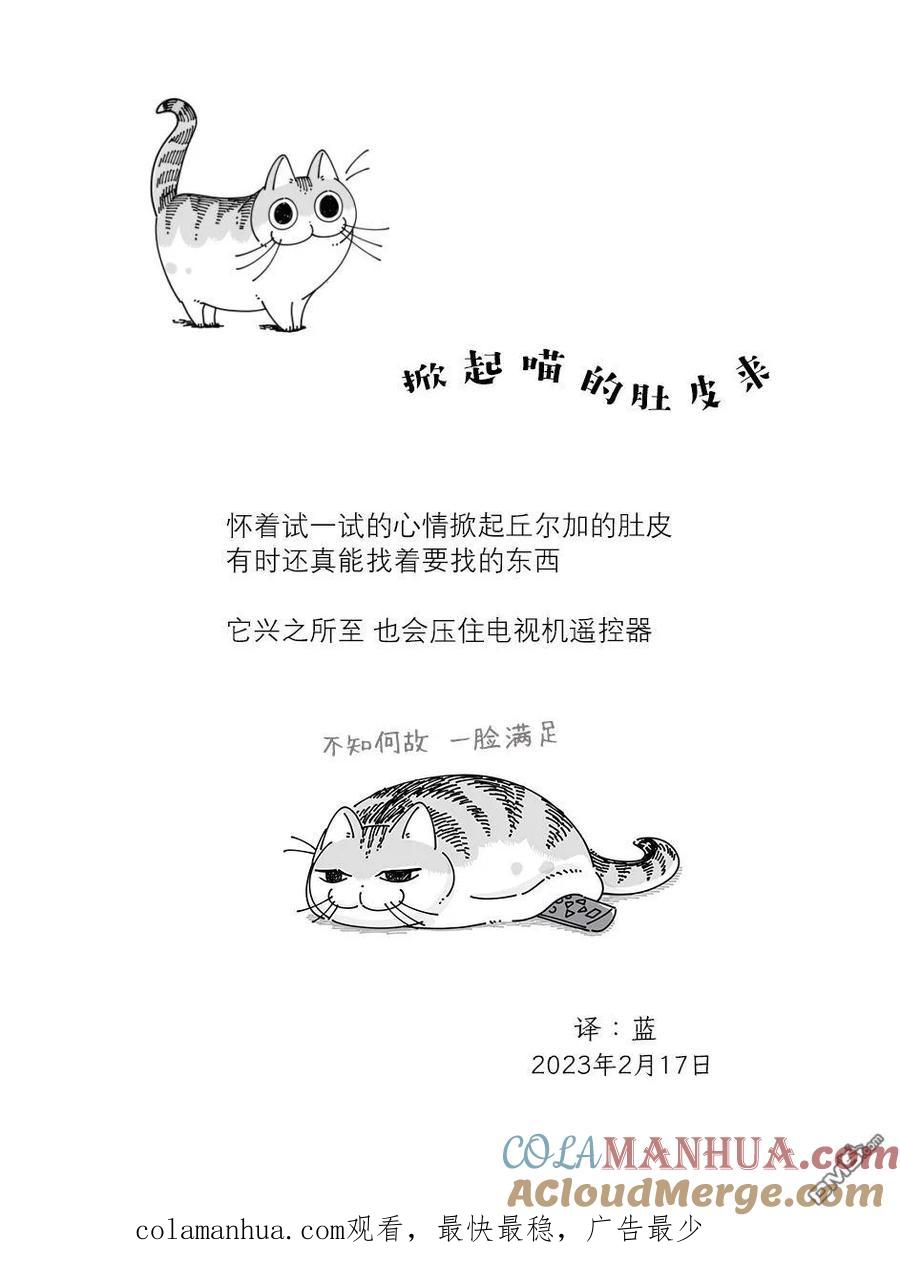 第154话-关于养猫我一直是新手-キュルZ（第3张）