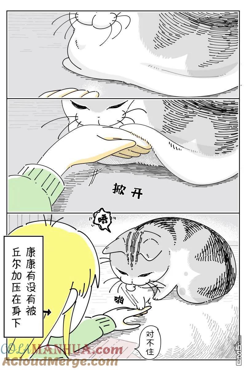 第154话-关于养猫我一直是新手-キュルZ（第1张）