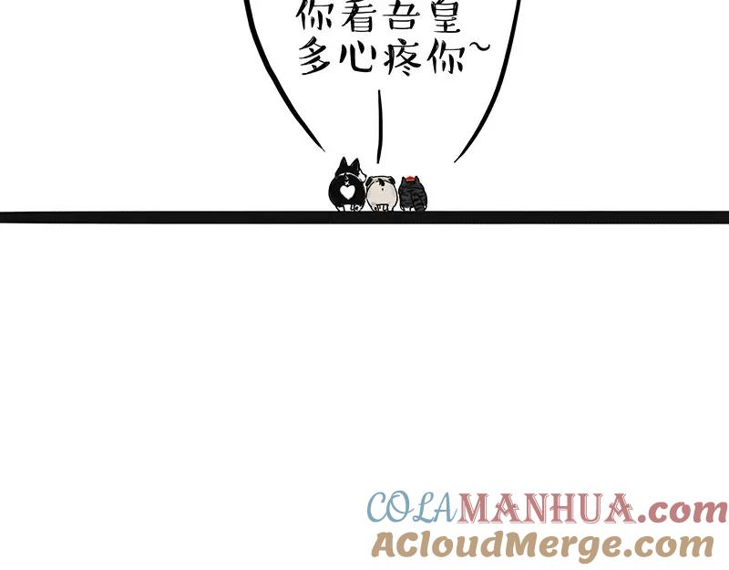 51.jpg