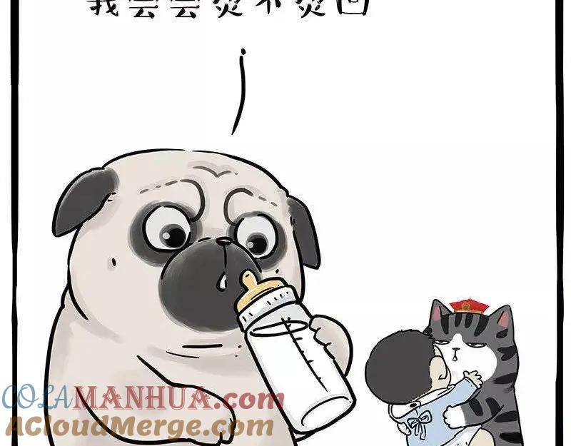 48.jpg