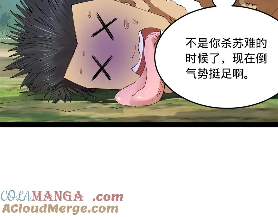 41.jpg