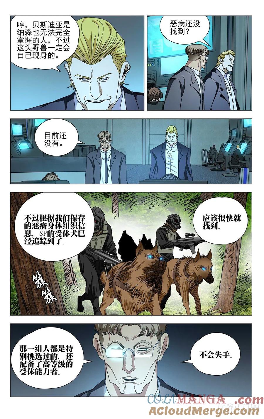 11.jpg